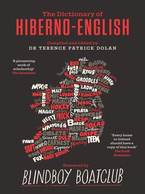 cover image of A Dictionary of Hiberno-English